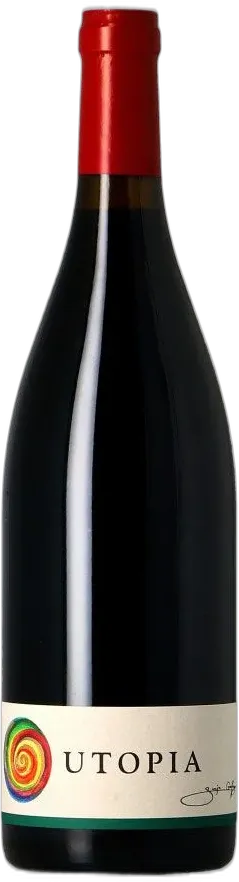 vue du vin Château Thivin Utopia Vendange 2022