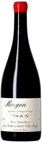 vue du vin Jean Foillard Morgon Côte du py 2022