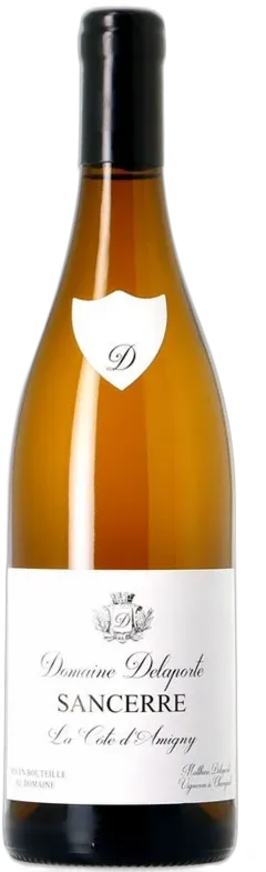 image du vin Delaporte Sancerre la Côte d’Amigny 2020