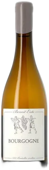 vue du vin Benoît Ente Bourgogne Chardonnay 2021
