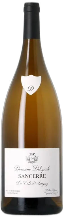 image du vin Delaporte Sancerre la Côte d’Amigny 2020