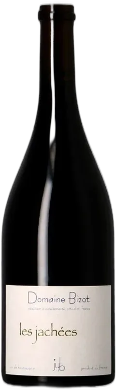 vue du vin Domaine Jean Yves Bizot Vosne-Romanée les Jachées 2022
