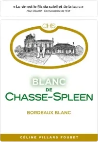 vue du vin Blanc de Chasse-Spleen 2024