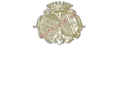 photo du vin Château Lascombes 2024