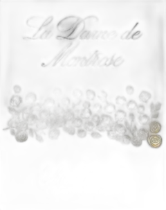 photos du vin la Dame de Montrose 2024