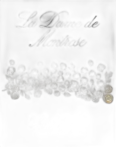 illustration du vin la Dame de Montrose 2022