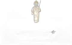 photo du vin Bouchard Père & Fils Beaune Grèves "Vigne de l'Enfant Jésus" 2019