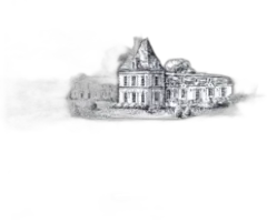 photo du vin Château Larrivet Haut-Brion Rouge 2019