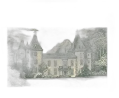 photo du vin Château Carbonnieux Rouge 2018