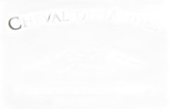photo du vin Cheval des Andes 2018