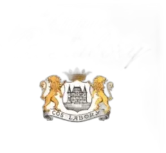 image du vin Château Cos Labory 2020