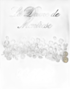 photos du vin la Dame de Montrose 2020