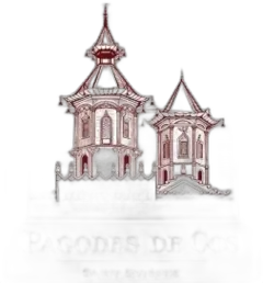 photo du vin Pagodes de Cos Rouge 2021