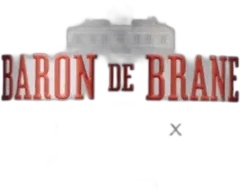 illustration du vin Baron de Brane 2010