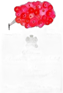 illustration du vin Château Mouton Rothschild 2021