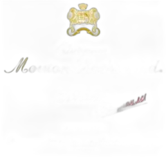 photo du vin Château Mouton Rothschild 2011