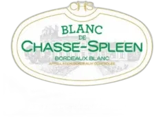image du vin Blanc de Chasse-Spleen 2020