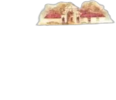 vue du vin Château de Francs, les Cerisiers 2019