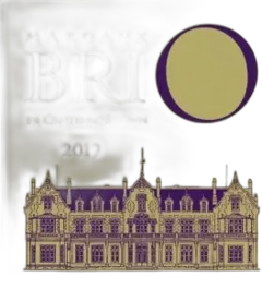 photo du vin Brio de Cantenac Brown 2019