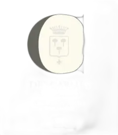 photo du vin le c des Carmes Haut-Brion 2022