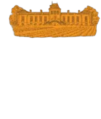 photo du vin Château Lafon-Rochet 2016