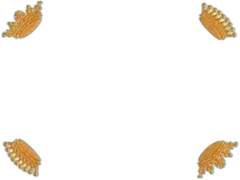 illustration du vin Château Branaire Ducru 2017