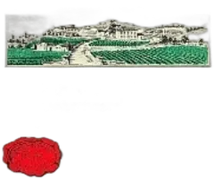 photos du vin Château Pavie 2004