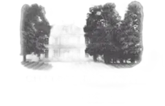 photos du vin Château Dassault 2019