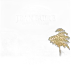 photo du vin Château Jean Faure 2021