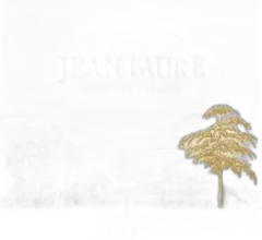 photo du vin Château Jean Faure 2015