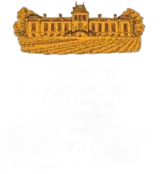 photo du vin Château Lafon-Rochet 2020