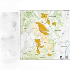 photo du vin Aop Saint Véran Blanc Robert Martin 2024