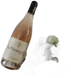 vue du vin Vdf la Promesse des Anges Rosé 2023