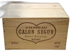 vue du vin Calon Segur 2010 la