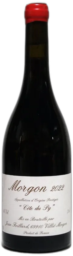 vue du vin Jean Foillard Morgon Côte du py 2022