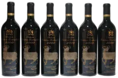 vue du vin Mouton Rothschild 2000 la