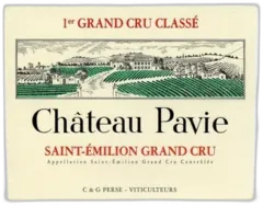 photo du vin Chateau Paviesaint-Emilion Grand Cru 1999