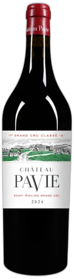 photo du vin Chateau Paviesaint-Emilion Grand Cru 1999