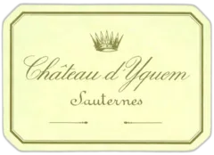 illustration du vin Yquem 2019 la