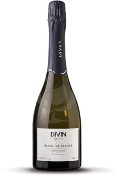 image du vin Divin Pétillant Chenin