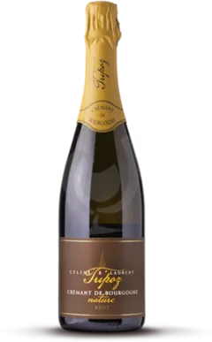 illustration du vin de Bourgogne Nature Magnum