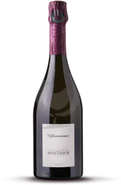 photo du vin Efflorescence Magnum