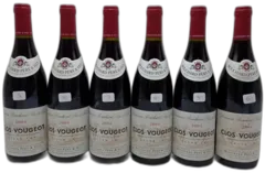 vue du vin Clos de Vougeot