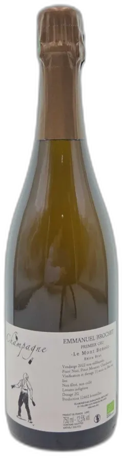 vue du vin le Mont Benoit Emmanuel Brochet dg