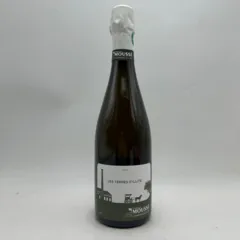 image du vin Mousse Fils Terre d’Illite Blanc de Noirs Brut dg 2022