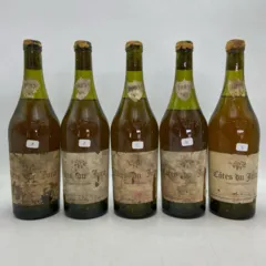 illustration du vin m Perron Cotes du Jura 1985