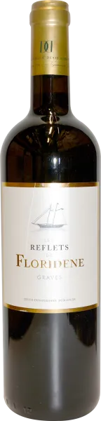 vue du vin Reflets de Clos Floridène