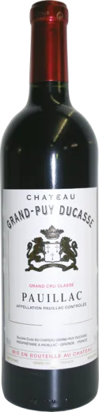 vue du vin Château Grand Puy Ducasse