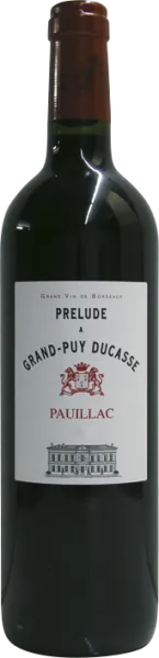 vue du vin Château Grand Puy Ducasse