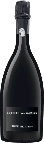 illustration du vin Champagne Thiénot la Vigne Aux Gamins